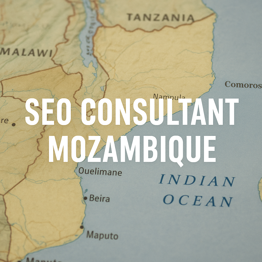 SEO Consultant Mozambique