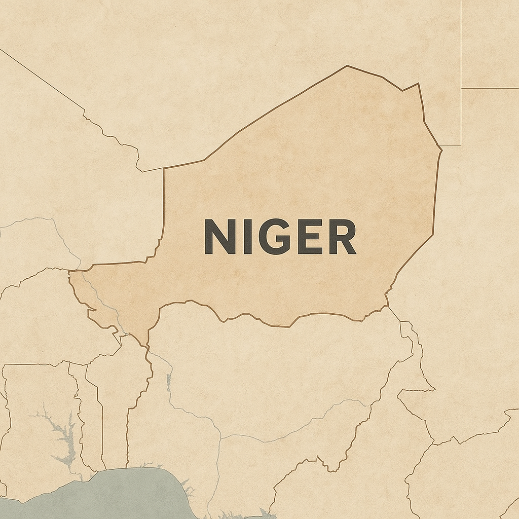 SEO Consultant Niger